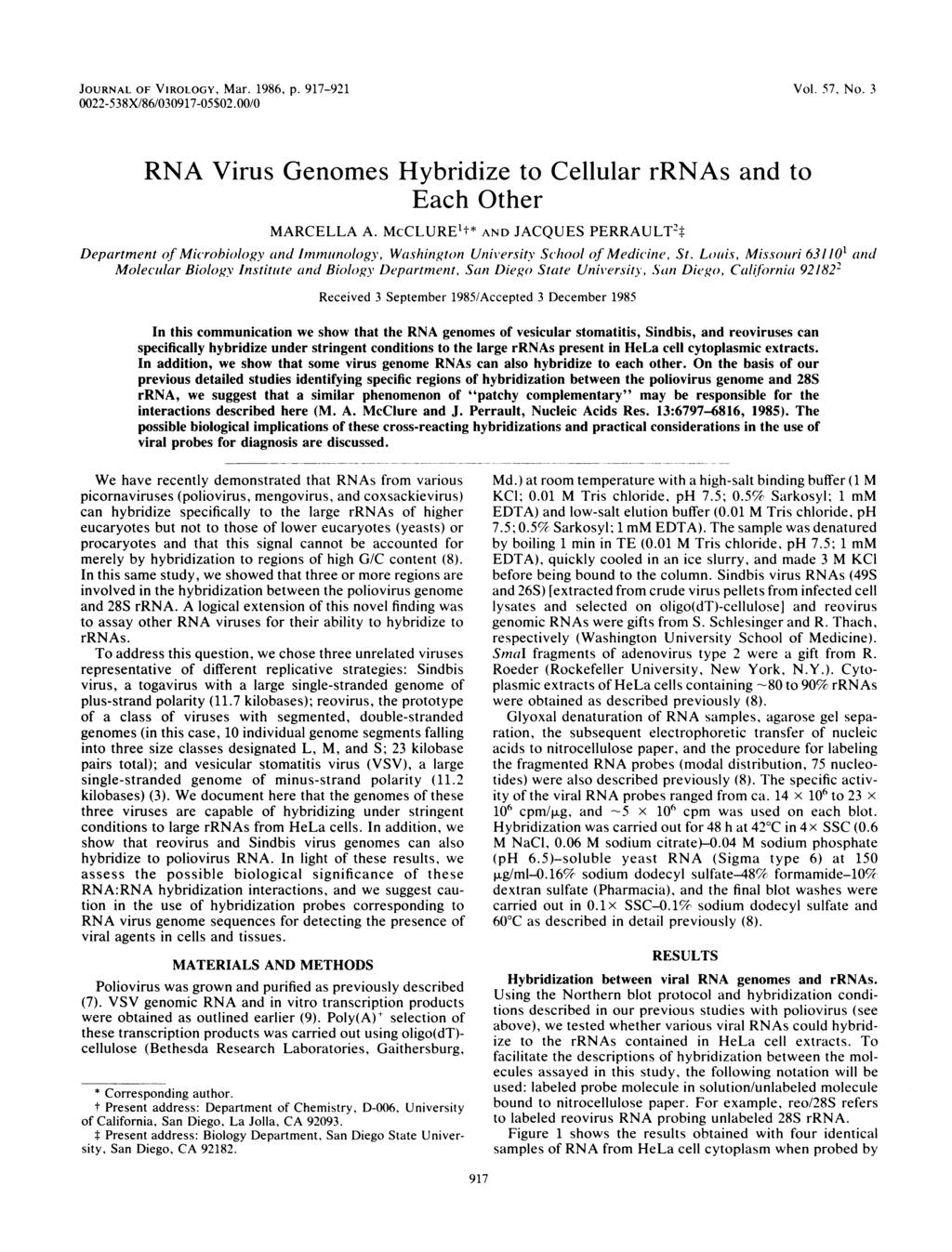 JOURNAL OF VIROLOGY, Mar. 1986, p. 917-921 0022-538X/86/030917-05$02.00/0 Vol. 57, No. 3 RNA Virus Genomes Hybridize to Cellular rrnas and to Each Other MARCELLA A.