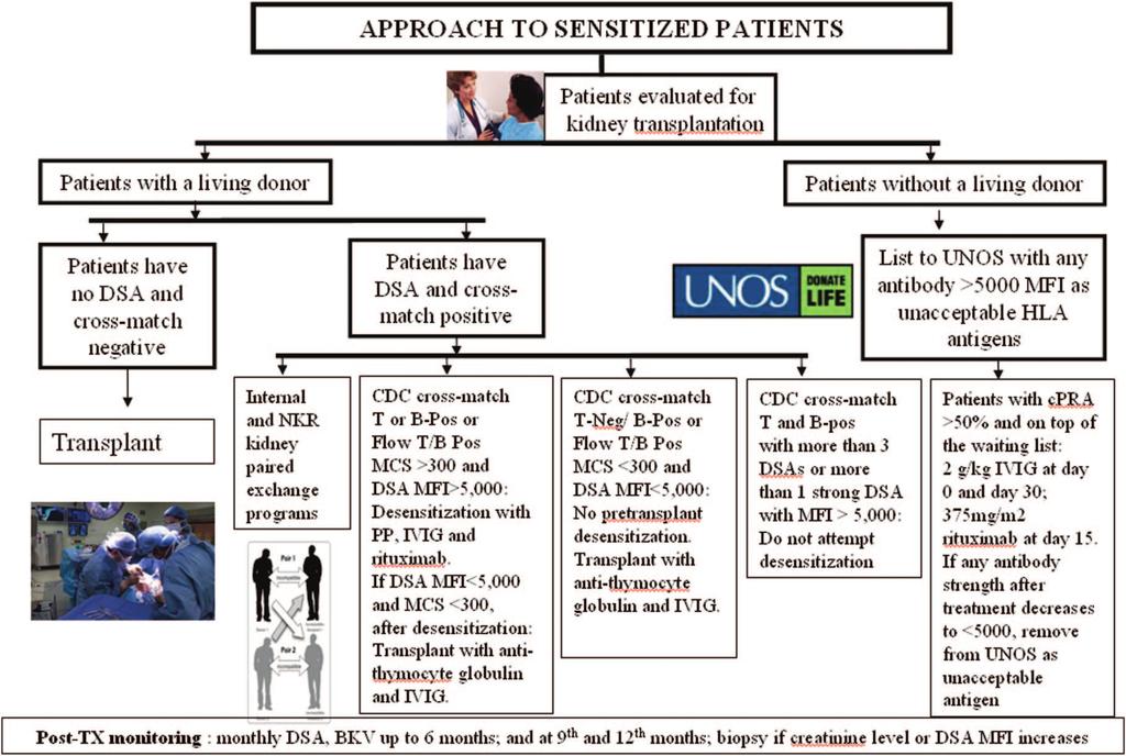 932 Clinical Journal of the American Society of Nephrology Figure 2. Algorithmic approach to sensitized patients.