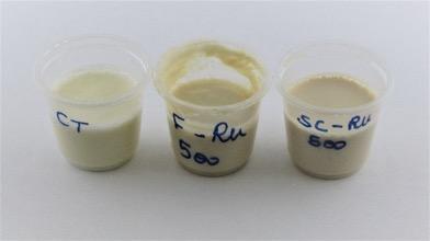 Rutin-fortified Set-type Yoghurts: Effect on the Quality
