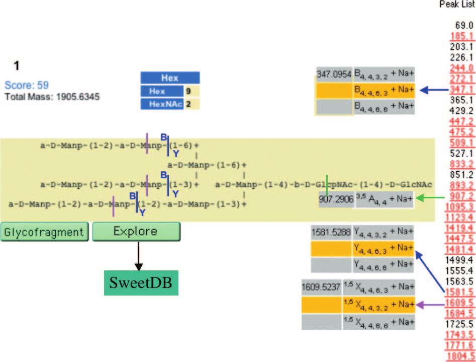 Nucleic Acids Research, 2004, Vol. 32, Web Server issue W265 Figure 5. Detailed information on matches between input and library peaks of a GlycoSearchMS run.