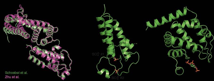 Supplementary Fig 3 Supplementary Figure 3: Structural comparisons of different phospholipid binding proteins.