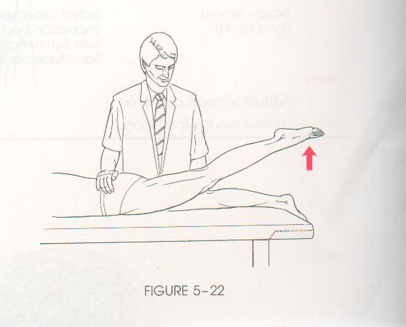 Prevent substitutions and trick movements by making use of the following methods: a) The patient's normal muscles: For example, the patient holds the edge of the plinth when hip flexion is tested and