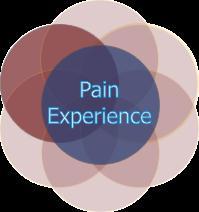 Pain Experience