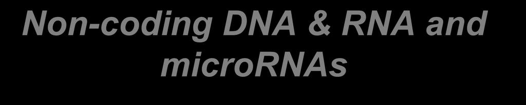 Non-coding DNA & RNA and micrornas Human