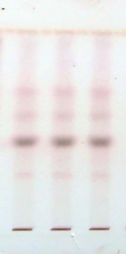 TLC plates scanned at 254nm 6 compound were separated having R f value 3, 9,.37,.43,.5,.