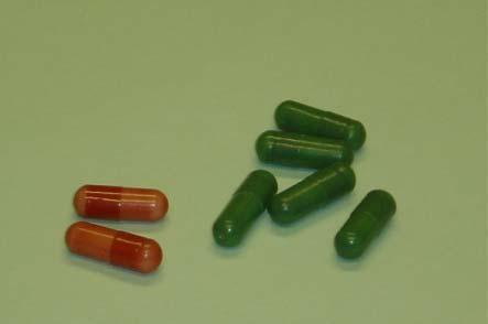 Randomised Controlled Trial Factorial Design Aciclovir 2g/day 10 days Placebo
