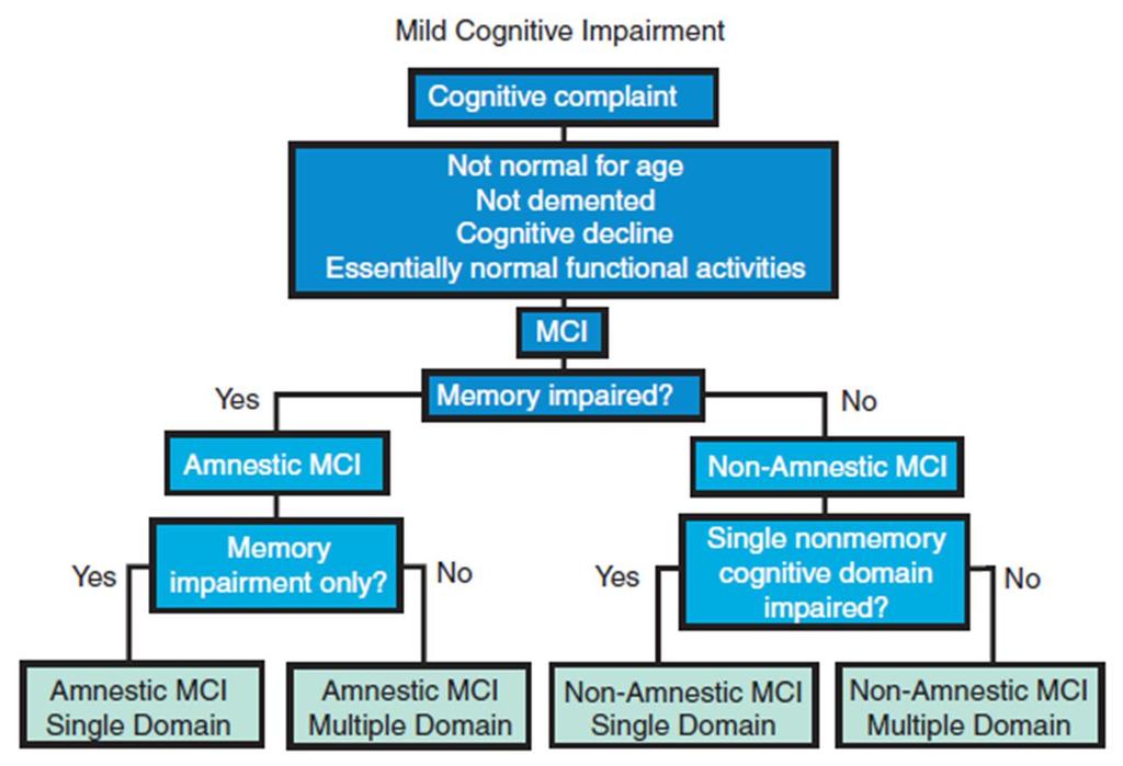 Mild Cognitive Impairment (MCI) Mild Cognitive Impairment Activities of daily living (ADLS) preserved Minor issues with complex ADLS Cognitive impairment Cognitive complaints Amnestic vs non-amnestic