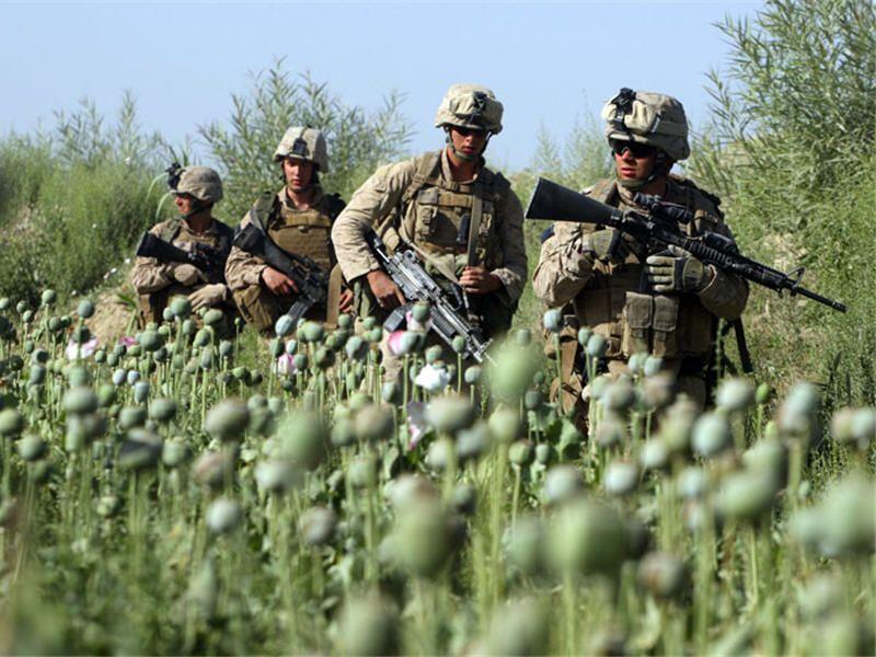 Afghanistan and the fight against drugs The issue of drug is a global challenge and no country in the world is safe from the negative consequences of this ghastly phenomenon.