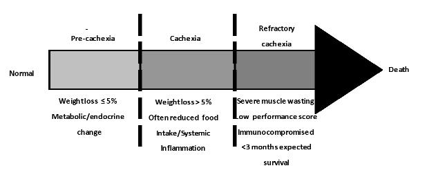 Based on the definition, diagnosis of cancer cachexia includes involuntary weight loss >5% over last 6 months (in absence of simple starvation), or weight loss >2% with BMI <20, or weight loss >2%