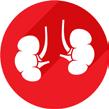 SECTION 1 CORE CRITICAL ILLNESS CONDITIONS Kidney failure requiring permanent dialysis The main function of the kidneys is to get rid of the excess fluid and waste products from your body.