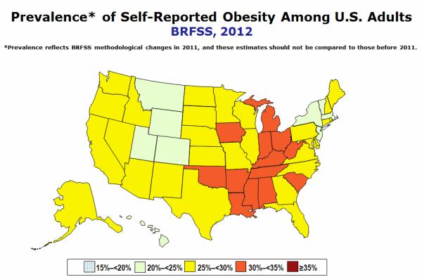 Resources to Help MDs Understand the Obesity