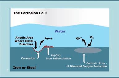 Innovation and Customer Service Corrosion The atmospheric corrosion of iron proceeds electrochemically.