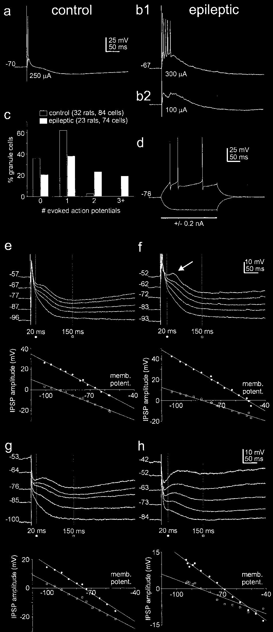 2444 J. Neurosci., March 15, 2003 23(6):2440 2452 Kobayashi and Buckmaster Reduced Dentate Granule Cell Inhibition in Epilepsy Figure 2.