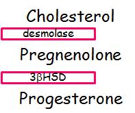 ACTH 21-hydroxylase deficiency 17 hydroxylase 17-OH Progesterone 21-OH
