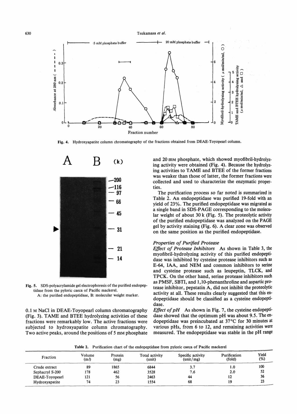 630 Tsukamasa et al. Fig. 4. Hydroxyapatite column chromatography of the fractions obtained from DEAE-Toyopearl column.