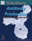 Purification Kits Antibody Purification Activated Resins