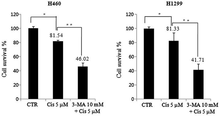 250 Figure 1. Expression of p53 protein in H460 and H1299 cells. H460 and H1299 cells were treated with 5 µm cisplatin with or without 10 mm 3-MA for 24 h.