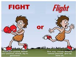 Sympathetic ANS Dominates During Fight-or-Flight Response Fight-or-Flight (or Freeze) response is an automatic