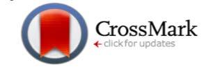 CrossMark Digital logo on html and PDF versions One use is to highlight important