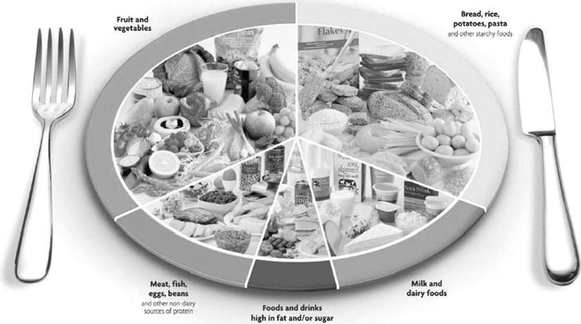 Dietary fibre and health 197 Figure 4 Eatwell plate model.