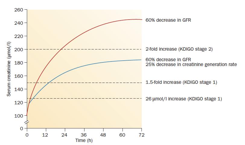 Effect of Creatinine Generation on the Diagnosis of AKI Predicted effect