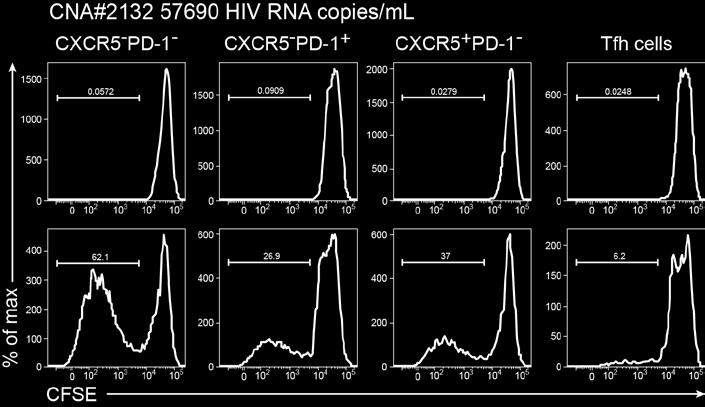 Tfh Cells and CXCR5 - PD-1 + CD4 T-Cells Are the Most Efficient in Supporting Production of HIV