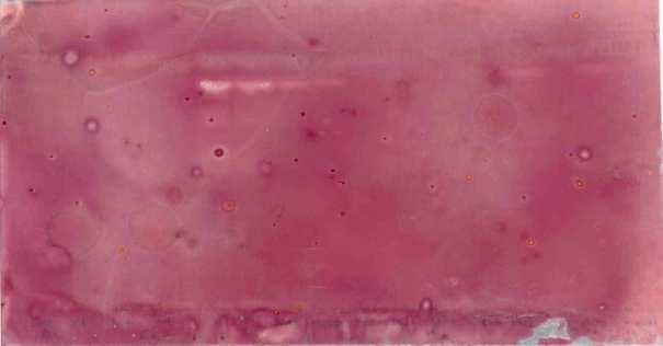 Chromatograms were developed in CEF and sprayed with Penicillium janthinellum (top), centre (Aspergillus