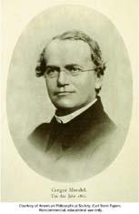 Mendelian Genetics What do you remember about Mendel and his genetics studies from