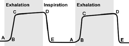 When to use Waveform Capnography When an endotracheal tube is