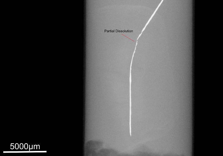 Fig. 1. Absorption radiograph of a Platinum wire pierced through a cow muscle tissue. Red indications show region of partial dissolution of wire in PEG200 electrolyte.