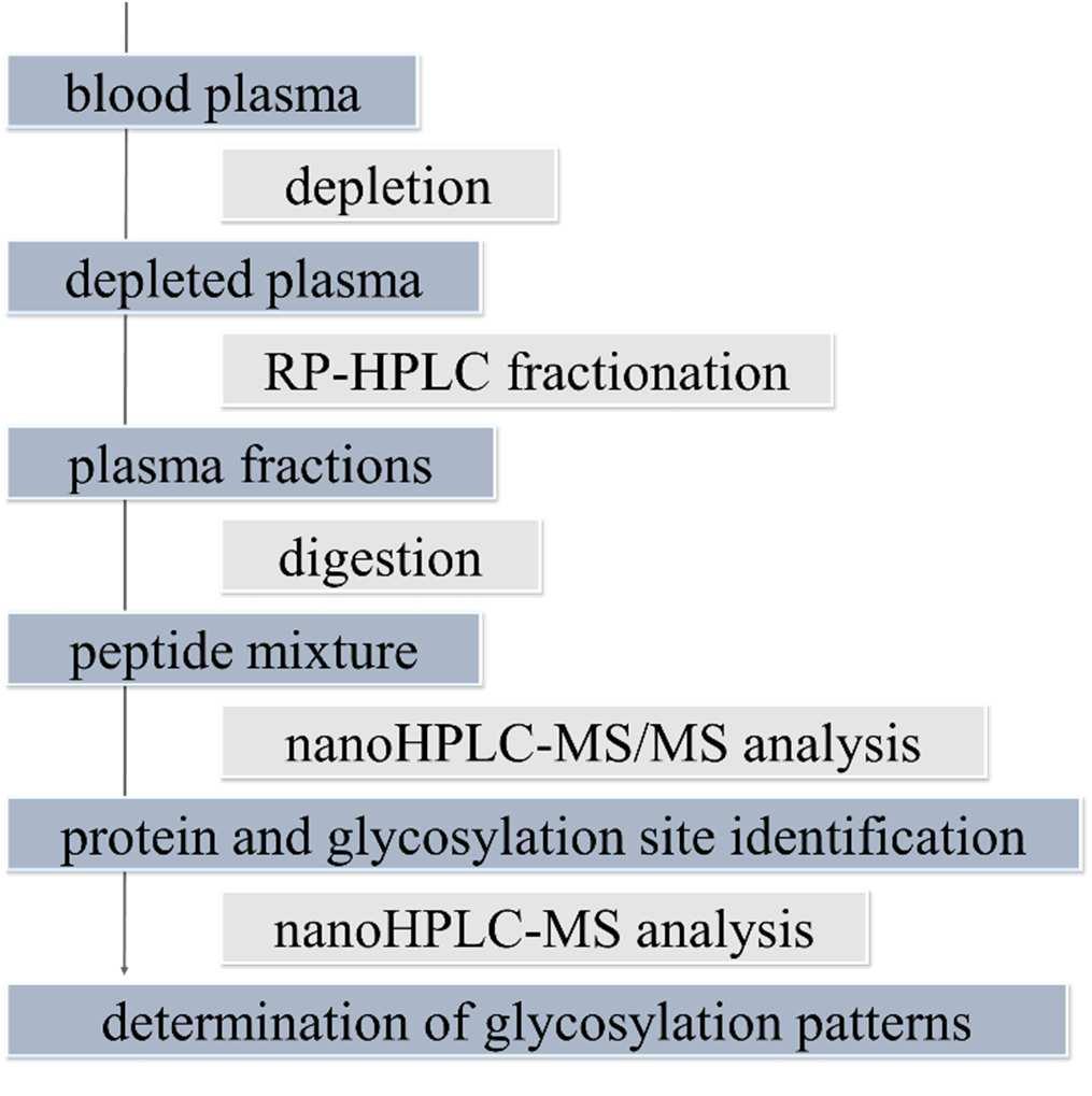 Methods To determine site-specific glycosylation pattern of blood plasma proteins a multistep sample preparation, analysis and data evaluation method was optimized and used.