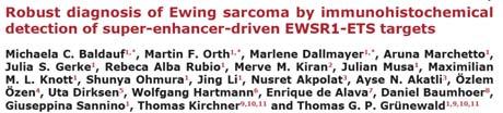 Undifferentiated small round cell or spindle-cell tumor PAX7 positivity: Rhabdo vs Ewing Sarcoma Positivity for desmin, MYOG, MYOD1 would strongly favor rhabdomyosarcoma