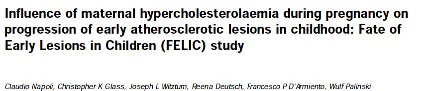 FELIC Study Our results suggest that maternal hypercholesterolaemia during pregnancy induces changes in the fetal aorta that determine the long-term susceptibility of children to fatty-streak