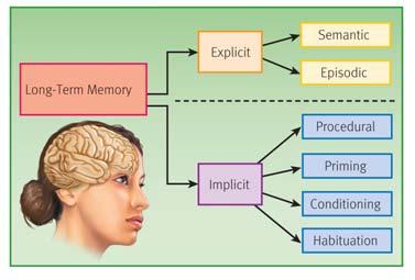 Long term Memory Semantic