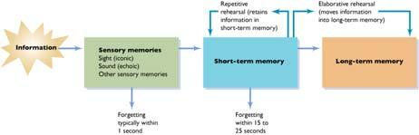 Measuring Memory: 3 Rs Recall generating previously remembered information Recognition selecting previously remembered information from an array of options Relearning savings ; how much more quickly