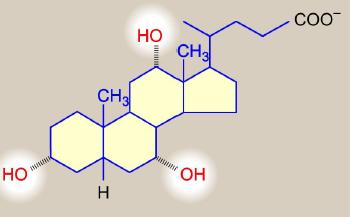1-3 Acetyl co-a condensed to give HMG CoA 2- HMG CoA is reduced by HMG CoA reductase to Mevalonate.