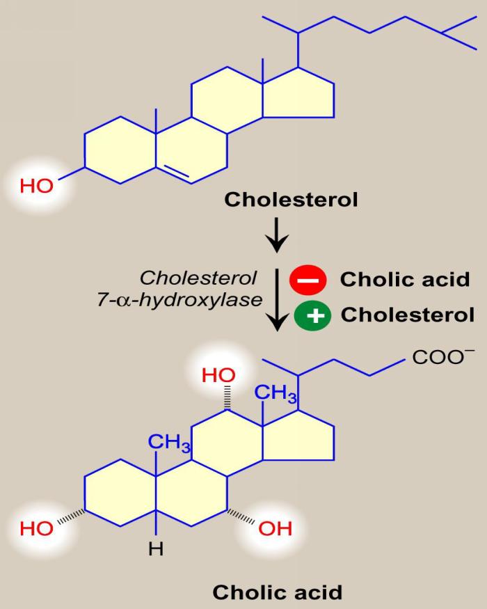 Esterification of Cholesterol in the Cells Note: Cholesterol ester is a storage form of cholesterol, while cholesterol is found in the plasma memberane. How it is done?