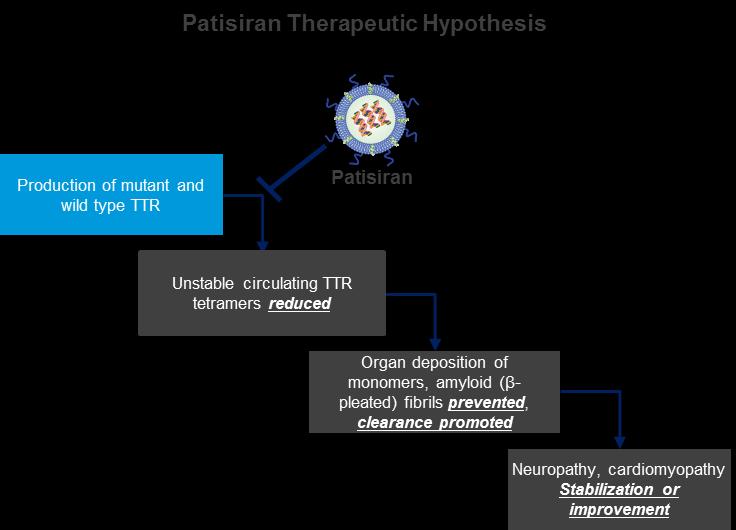 Hereditary Transthyretin-Mediated (hattr) Amyloidosis Disease Overview and Introduction to, an Investigational RNAi Therapeutic hattr Amyloidosis Rare, inherited, rapidly progressive, debilitating,