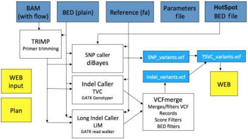 Torrent Server Variant Caller Configure parameters through Torrent Server Web interface TMAP Alignment Algorithm Custom Hybrid Variant Caller AmpliSeq Cancer Panel Workflow - Tuned to detect very low
