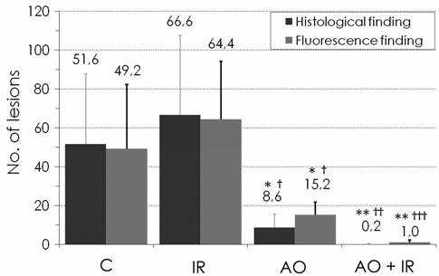 Satonaka et al: Acridine Orange Inhibits Pulmonary Metastasis of Mouse Osteosarcoma Figure 4.