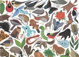 2/44 The big questions in ecology Why are there so many species?