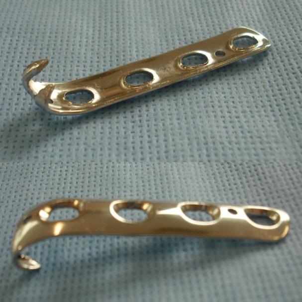 * Our Claw Plate (Modified spring