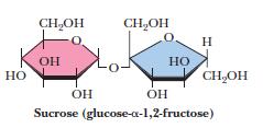 Common table sugar, cane sugar, beet sugar Sucrose Hydrolysis of sucrose yields one molecule of D-glucose and one molecule of D-fructose.