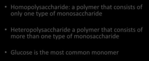 Polysaccharides Homopolysaccharide: a polymer that consists of only one type of monosaccharide Heteropolysaccharide a