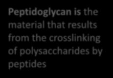 results from the crosslinking of