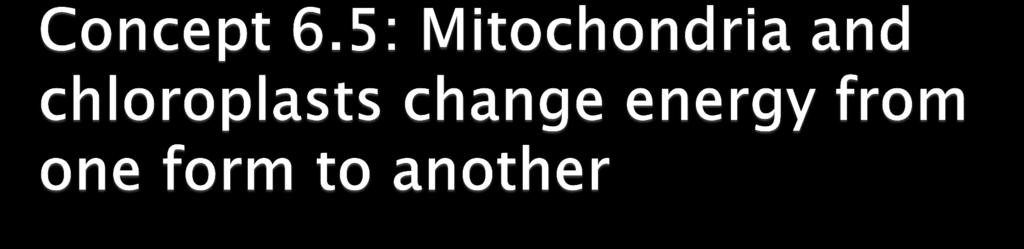 Mitochondria are the sites of cellular respiration, a metabolic process that uses oxygen to generate ATP