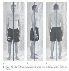 Figure 1: Perfect laying postures Figure 2: Perfect sitting posture Figure 3: Perfect standing posture
