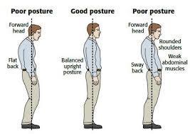 In the clinic, posture can be tested by use of an instrument called a Plumb line.