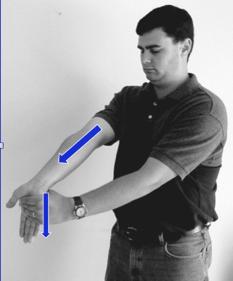 Lots of mouse work may risk this Tennis elbow wrist load Golfer s elbow grip & twist WRIST-HAND-CARPAL