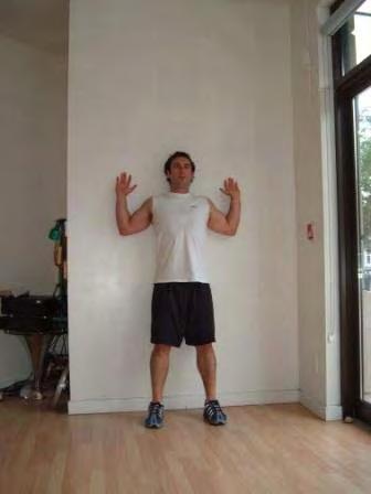 Exercise Descriptions Warm-up Circuit Stick-up Stand with your back against a wall.